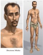 Breton male concept art.