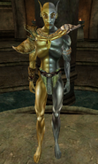 Lord Vivec Morrowind