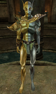 Lord Vivec standing in his temple.