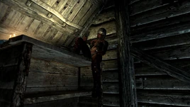 Prawdziwi przyjaciele...(Skyrim)