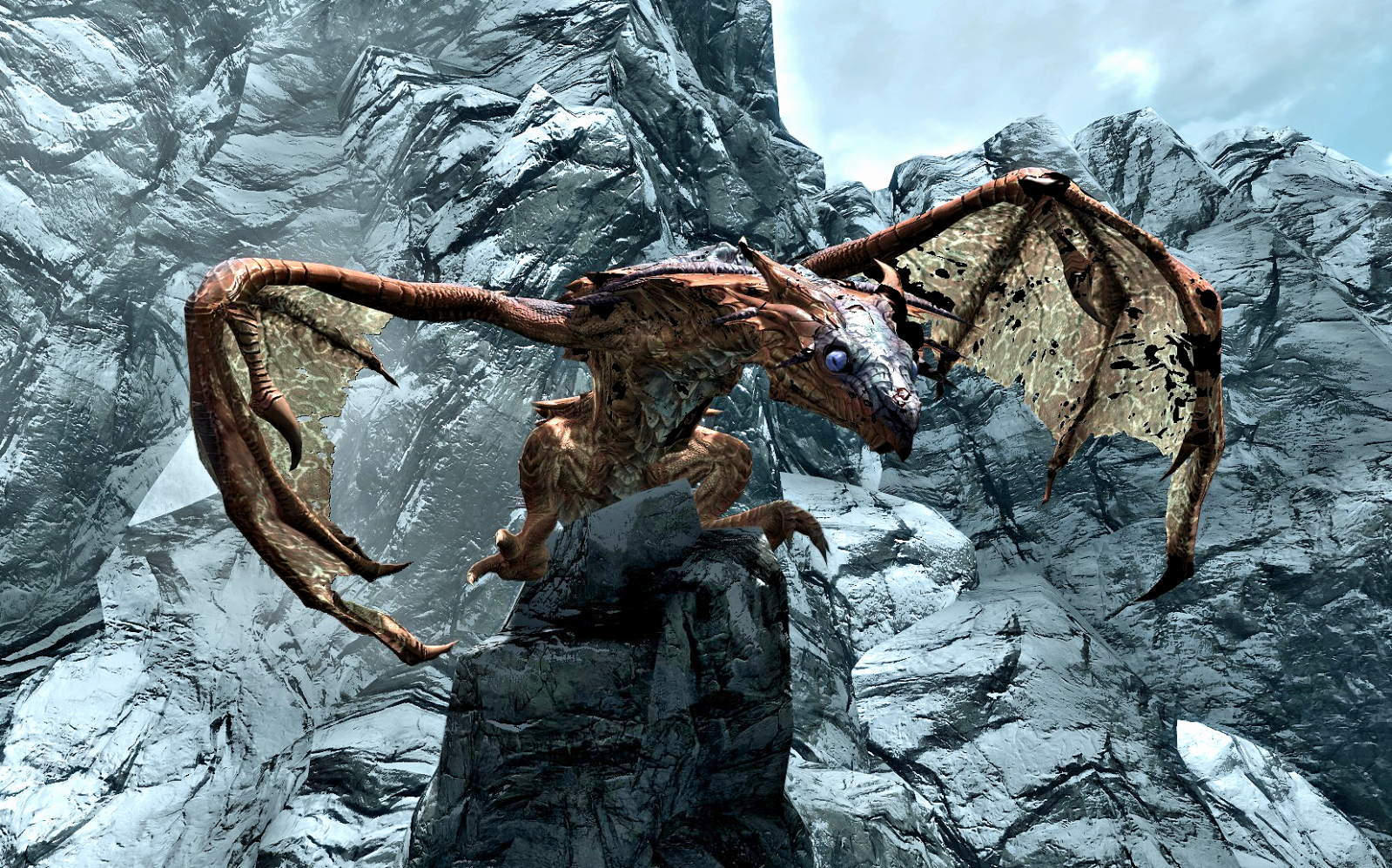 skyrim ancient dragons