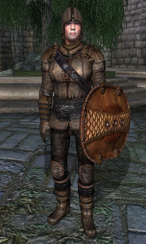 elder scrolls oblivion armor sets