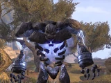 Sturmatronach (Online)