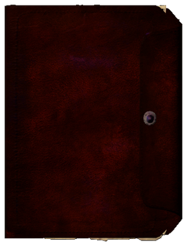 Journal03