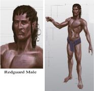 Redguard Male
