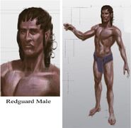 Redguard male concept art