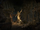 Cold-Blood Cavern Loading Screen.png