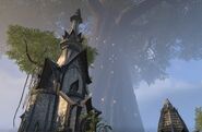 A second perspective of the Elden Tree from the Altmer Embassy