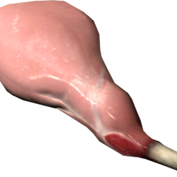 raw rabbit leg elder scrolls fandom