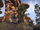 Тель-Фир (Online: Morrowind)