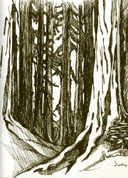 Pge3 forest.gif