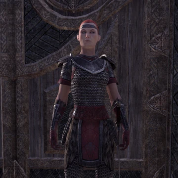 Sergeant Eila Elder Scrolls Fandom Application designed and developed by tata consultancy services ltd. sergeant eila elder scrolls fandom