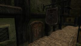 The Dividing Line