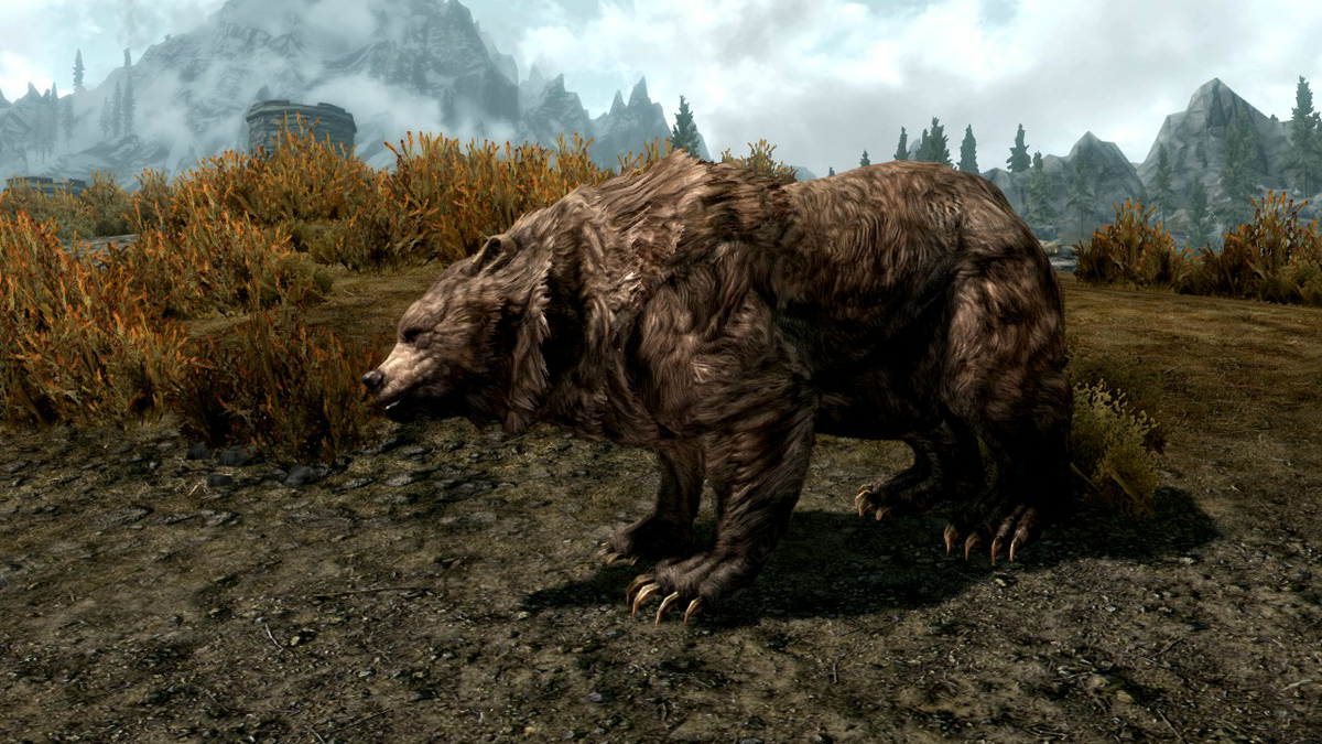 The bear is the oldest. Скайрим пещерный медведь. Медведь the Elder Scrolls v Skyrim. The Elder Scrolls медведь. Саблезубый тигр скайрим.