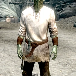 Category Skyrim Argonians Elder Scrolls Fandom