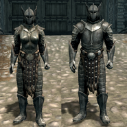 Male and Female variants.