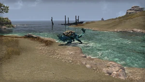 Коралловый хадж-мота.png (5,94 МБ) Коралловый хадж-мота