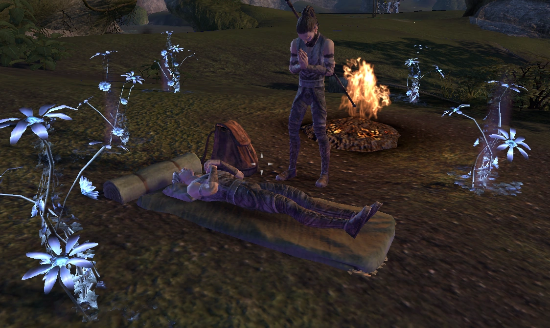 The Flower of Youth Elder Scrolls Fandom