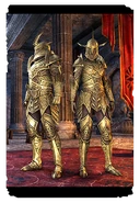 Костюм «Рыцарь-аврорианец»