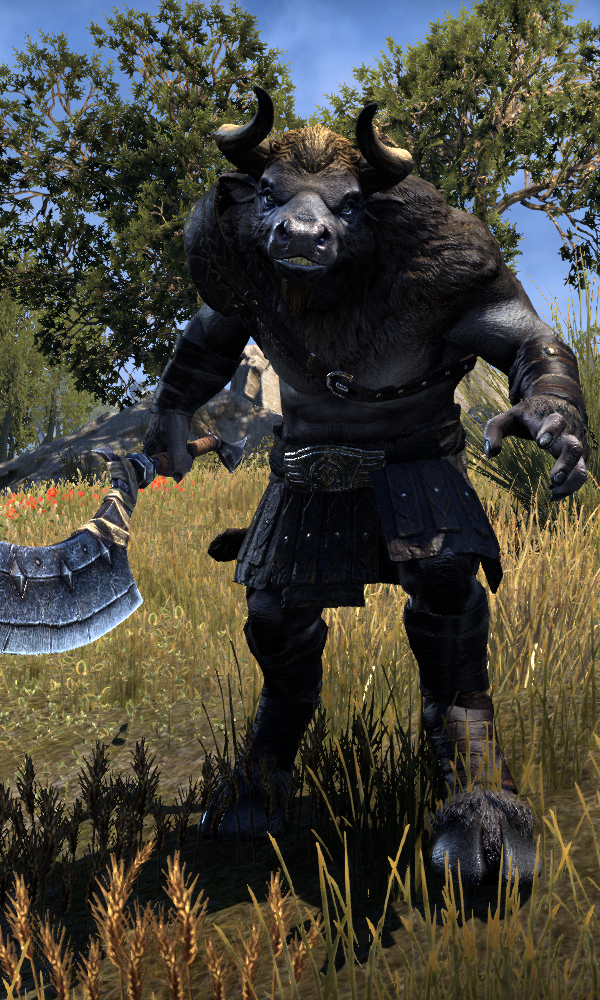 elder scrolls oblivion minotaur