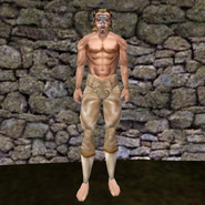 Вычурные штаны (Morrowind) 2 муж