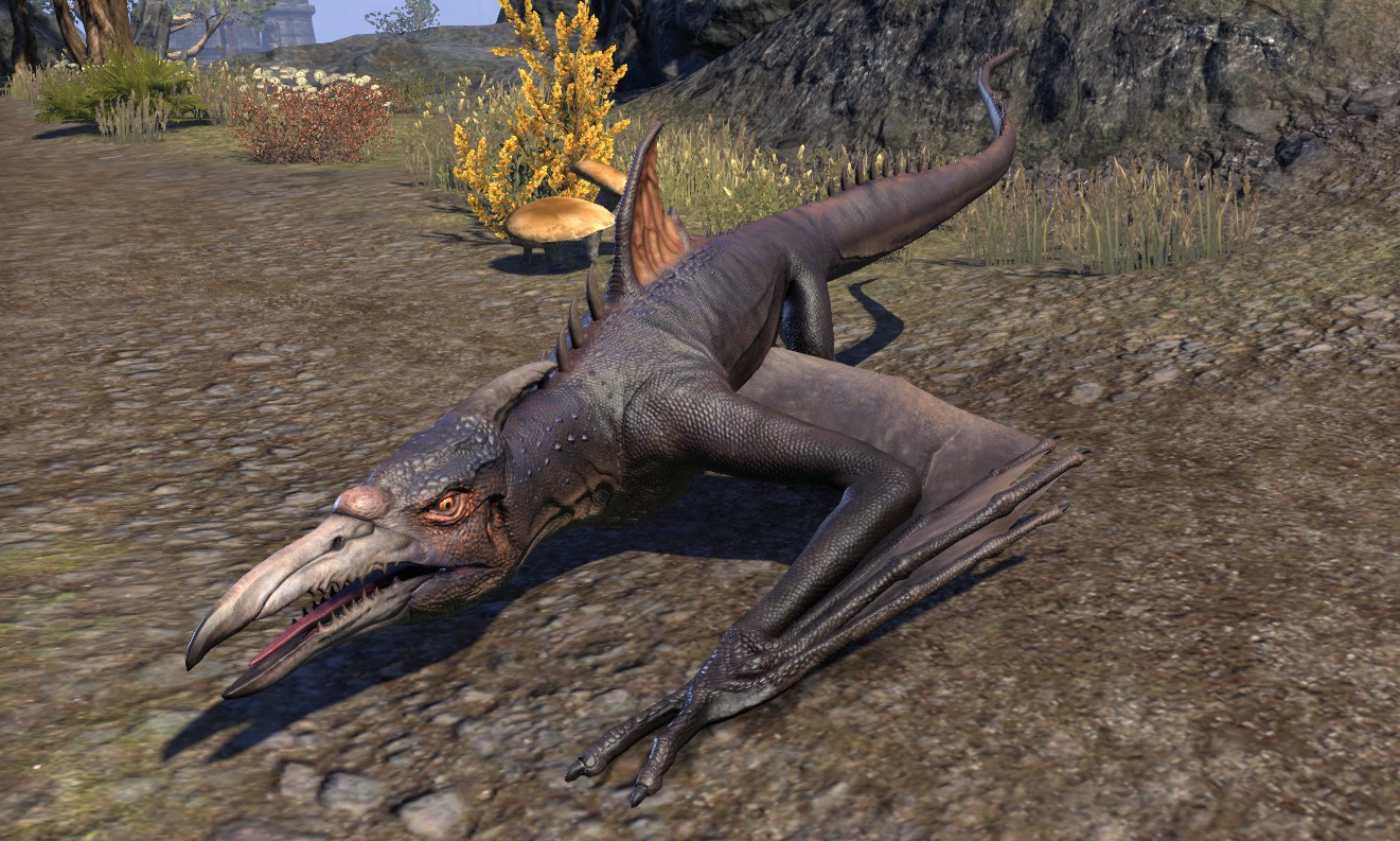 elder scrolls online the racer elder scrolls online the racer