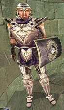 Keizerlijk soldaat van de Hertog's Wacht rang. Deze uitrusting wordt ook gedragen door de Ridder van de Keizerlijke Draak