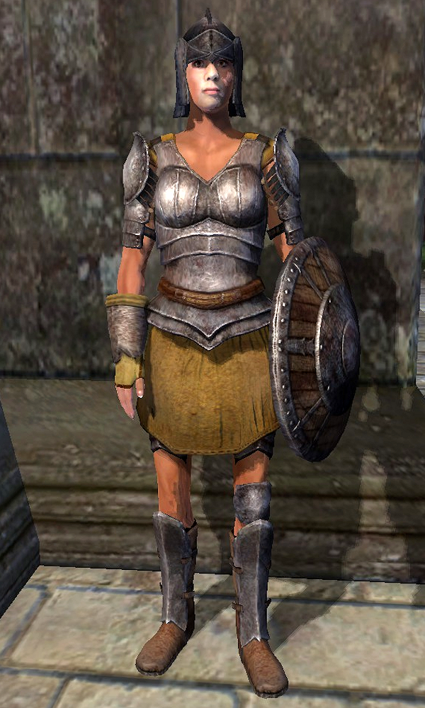 Iron Armor is a type of armor in The Elder Scrolls IV: Oblivion that is a v...