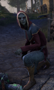 Canon Valasa.png