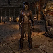 Il Campione Lunare Khali.