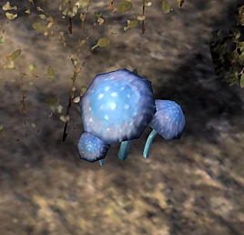 Violet Coprinus Online