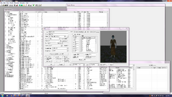 Oblivion CS - NPC editor