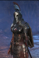 FemaleDragon Knight Armor