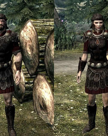 Penitus Oculatus Armor Elder Scrolls Fandom