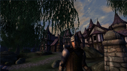 A Cheydinhall City Guard, patrolling the streets of Cheydinhal.