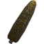 Oblivion corn