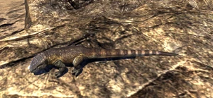 Коричневая ящерица.png (911 КБ) Коричневая ящерица