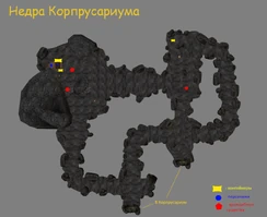 Недра Корпрусариума (план локации)