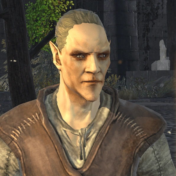 Altmer (Blades) The Elder Scrolls Wiki Fandom