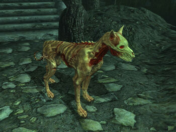 Ushnar's Skinned Hound