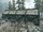 Shacks (Skyrim)