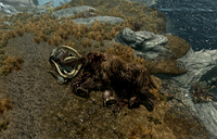 A dead Mammoth on the side of the road