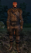 Dead Argonian Agent