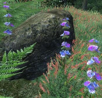 Viper'sBugloss