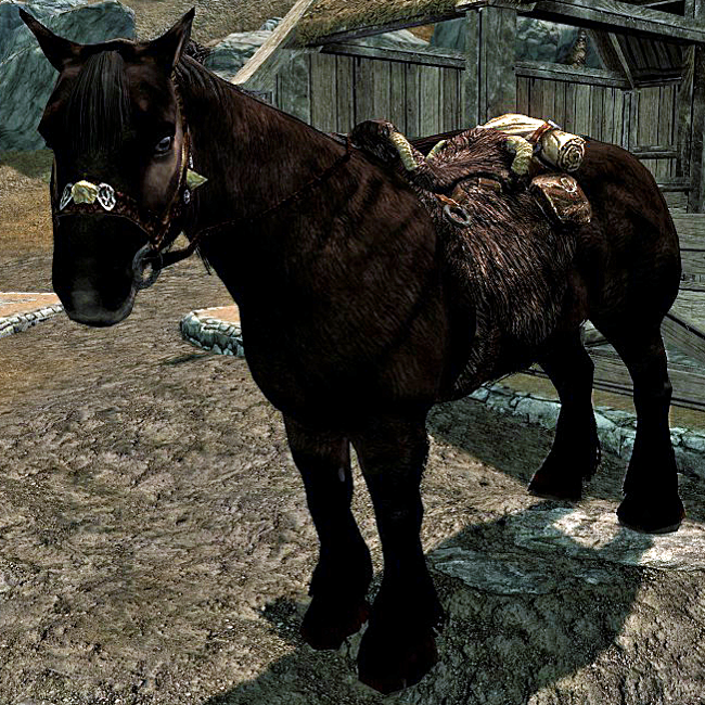 Cavalo, The Elder Scrolls Wiki