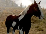 Caballo (Skyrim)