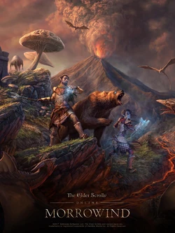 THE ELDER OF SCROLLS MORROWIND - NUOVO PS4 - PlayWorld - Assistenza Console - Foto 5