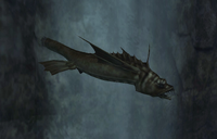 Giant Slaughterfish