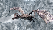 Legendary Dragon Arcwind 2