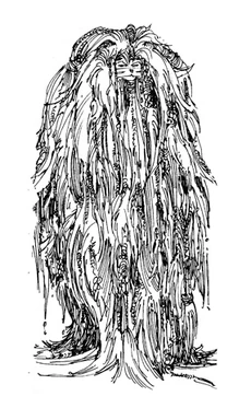 Nhad-hatta - Mane di Elsweyr intorno al 2E 864, mentre indossa le trecce donate dalla sua intera tribù.